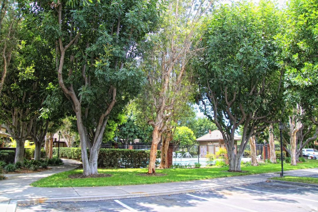 Work Image